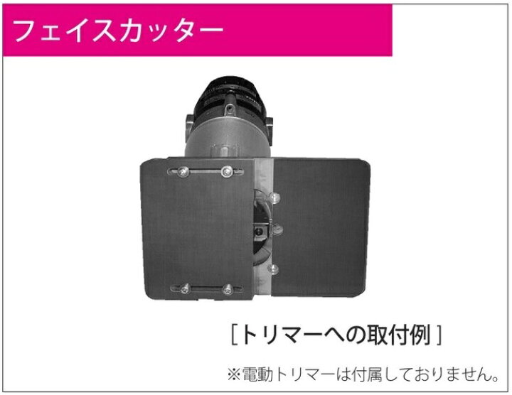 楽天市場】【送料無料】兼房 替刃式 エースフェイスカッター 超硬 用途 