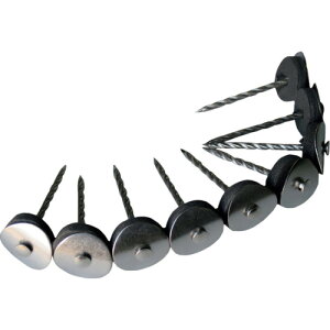 [gp]ij_Ch[ng DAIDOHANT XeXAPB 14×38 fn 9{×10A 10102296 1܁y119-7920z