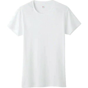 [iVcj]O[ij GUNZE YGێ YV0013V-03-L 1