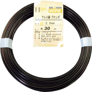 [j]ij_Ch[ng DAIDOHANT A~ uY400g 2D5mmi30mj 10155421 1ysizy[1܂őΏۏiz