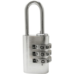 [V_[]aCYƁij WAKI A~̃JM Vo[ TW-924 1