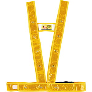 [SxXg]ij{Ώ\ Ώ\ LEDS˃xXg n^LED^ LED^XL^xXg|GW t[TCYiTCY\j 238025 1