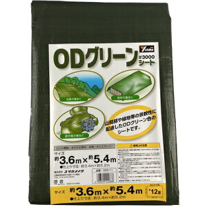 [J[V[g]yiϕیɓKODO[zij^JCN ^JCN@3000@ODO[V[g@3D6mx5D4m OGS-11 1y444-7034z