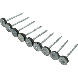 [gp]ij_Ch[ng DAIDOHANT Kogp APBXN[ 13X50 10A 10176039 1܁y117-7705z