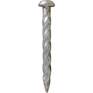 [B]ij_Ch[ng DAIDOHANT Z}[NXN[B ZS50 i1Kgj 00036111 1y118-0866z