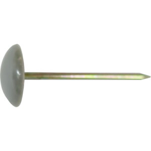 [e]ij_Ch[ng DAIDOHANT HP ~e O[ 16{ 10183198 1Pky118-8749z