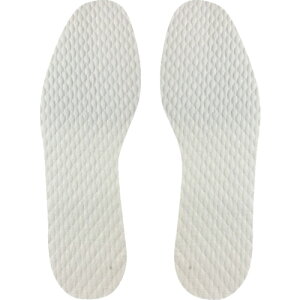 [~]Z[tSpiij Z[t ĝĊzC\[ pTCY 24D5cm 11141-39 1܁y245-3466z