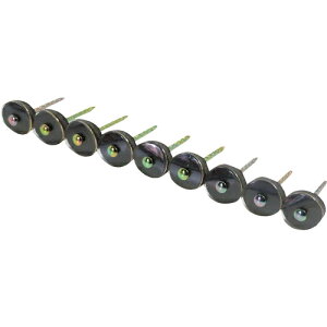 [gp]ij_Ch[ng DAIDOHANT |J[{lCgAPB14×38NA[i270{j 00019421 1y323-4291z