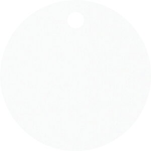 y3܂Ń[ւŔ\z[TCv[g]ij{Ώ\ Ώ\ A~ێDinDj Vo[ A~D|B 30mm×0D8mm 10g 306002 1PKi10jy441-3202zysz