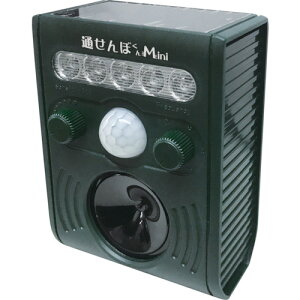 [hbpi]ijxmq xmq Qbޑu ʂڂ~j FJK-193 1y269-1094z