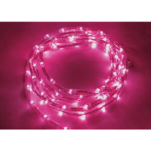 [C~l[VLED]gCgij tlight LED`[uXgO sN L3000 NTCP1-99-30P/2 1{y200-3316z