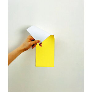 [}OlbgV[g]ij}OGbNX }OGbNX@}OlbgʃJ[V[g@MSR-10YW 1y361-9052z