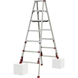 [prirLkj]ijsJR[|CV PiCa 㕔쎮lrAWXgpr SXJ^ 1y208-3195zysiz