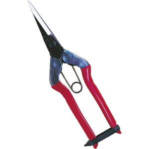 [iĂjnT~]ijߐ `J}T@@T-550 1y409-4867zysizy[1܂őΏۏiz