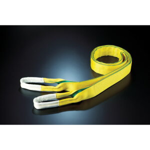 [�x���g�X�����O]�y���������z�c�����Ɓi���j �c���@�x���g�X�����O�@Z�^�C�v�@4E�@100×8�D0�@ZE1000800 1�{�y411-2989�z�y�k�C���E���ꑗ���ʓr�z�ysmtb-KD�z