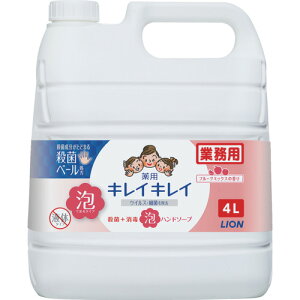 [nh\[v]CIij CI LCLCpAnh\[v t[c~bNX̍ 4L BPGHJ4F 1y208-3424z