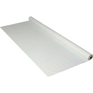 [hV[g]HƁij  ^[s[ X[p[CghNX zCg 0D9m×50m^R SPL0950 1{