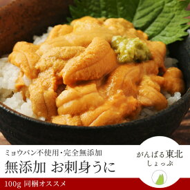無添加 冷凍 お刺身 ウニ100g 海鮮丼 刺身