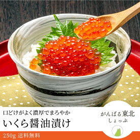 送料無料 紅鮭いくら醤油漬け250g 海鮮丼 醤油 いくら さけ 海鮮 刺身