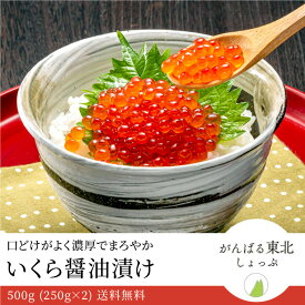 送料無料 紅鮭いくら醤油漬け500g (250g×2) 海鮮丼 醤油 いくら さけ 海鮮 刺身