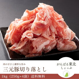 【送料無料】国産 三元豚の切り落とし 1kg(250g×4) 三元豚 もち豚 豚肉 ポーク 国産 切り落とし 切落し 大容量 小分け しゃぶしゃぶ 小間切れ こま切れ