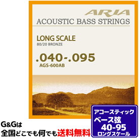 【1セット】AriaProII アコースティックベース弦セット AGS-600AB アリアプロ Acoustic Bass, Long Scale 40-95