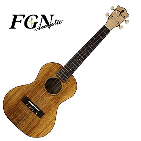【楽天市場】FUJIGEN フジゲン FUS-TT-03 /FGN Acoustic/Tenor 