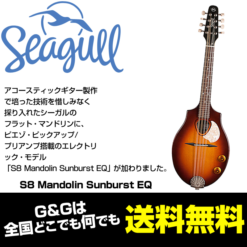 Mandolin S8 Seagull(シーガル) Sunburst ピックアップ搭載：-p5 エレクトリック・フラット・マンドリン EQ 本体
