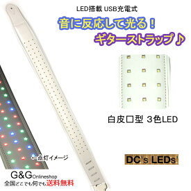 ディーシーズ エルイーディーズ 光るギターストラップ ホワイトレザー DC's LED's LED with Squares RGB