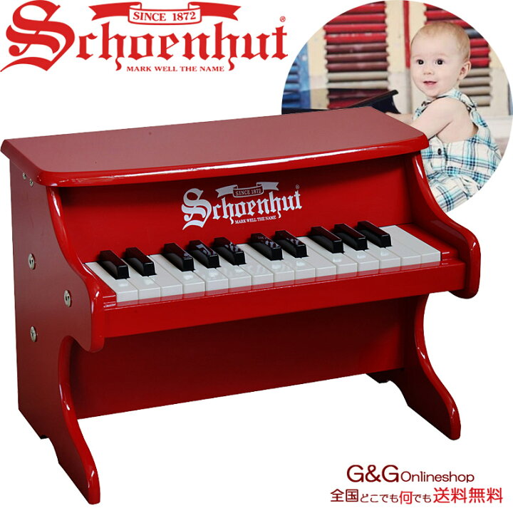 楽天市場】【特別価格】シェーンハット ミニ グランド ピアノ 22鍵盤 