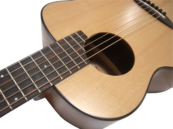 0円 品揃え豊富で aNueNue ピックアップ付アコースティックギター aNN-M10E バードギター アヌエヌエ