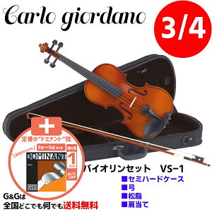バイオリン 弦セットの人気商品 通販 価格比較 価格 Com