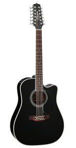 タカミネ ワールドスタンダードシリーズ EF381SC (アコースティック 