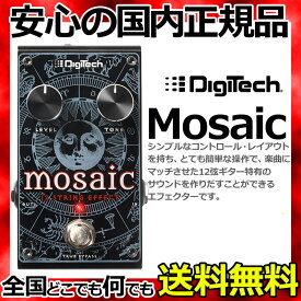 DigiTech MOSAIC 12弦ギターモジュレーション 【smtb-KD】【RCP】：-p5