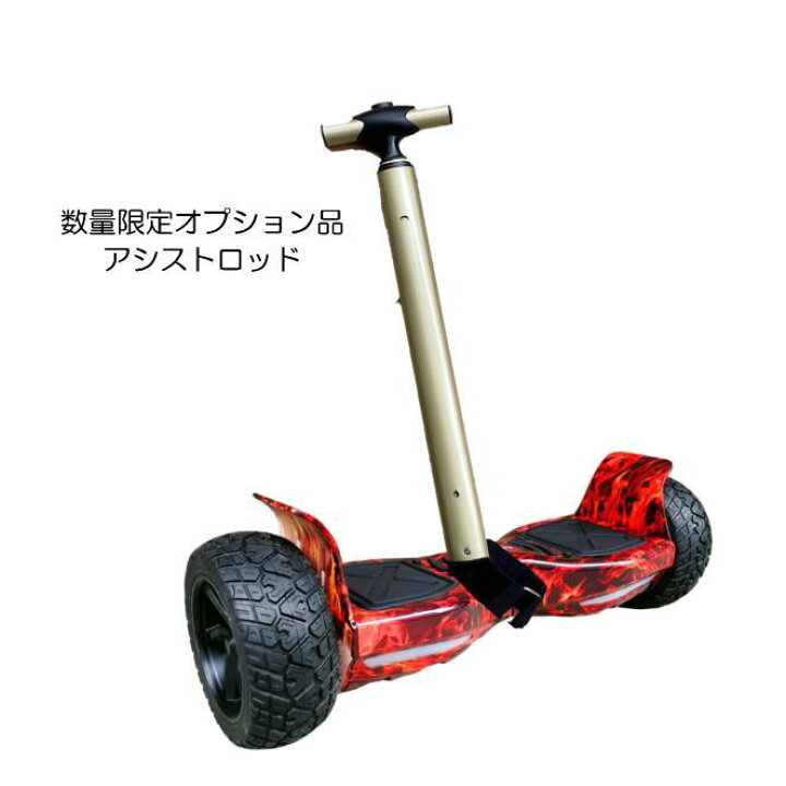楽天市場】【バッグ・スマートリモコン付属】『Gangoo-Cross  