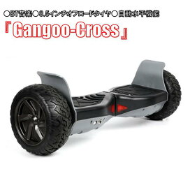 Kintone バランススクーター ミニセグウェイ オフロード 安心の6ヶ月 