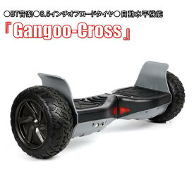 【オフロードタイプ】『Gangoo-Cross』 セグウェイ ミニセグウェイ バランススクーター 自動水平 Bluetooth音楽 ずっと修理サービス付