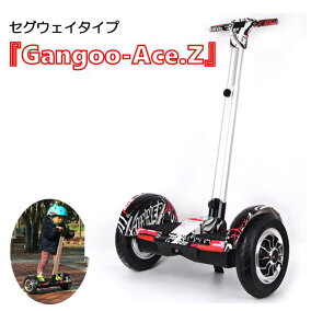 楽天市場 電動キックボード 人気ランキング1位 売れ筋商品