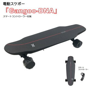 【Ride On】『Gangoo-DNA』 電動スケボー スケートボード スマートコントローラー ずっと修理サービス
