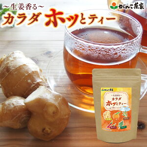 生姜香るカラダホッとティー 紅茶 40g(2g×20p) 三角ティーバッグ【送料無料】| 健康茶 がんこ茶屋 がんこ茶家 生姜 ジンジャー からだ ホットティー 柚子 唐辛子 よもぎ ヨモギ ティーバッグ