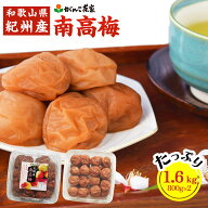 紀州南高梅 1.6kg(800g×2個) 徳用 梅干 訳あり【送料無料】| 梅干し 2個 がんこ茶家 がんこ茶屋 和歌山…