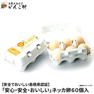 uSESEvlbJ60iʎqMTCYEpbN/10×6jтɁIY/yzyyMt_̂zyyMt_̂zz