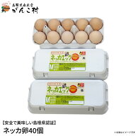 卵「安心・安全・おいしい」ネッカ卵40個入（玉子Mサイズ・紙製卵パック入/10個×4）卵かけご飯に！国産/…