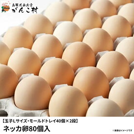 卵「安心・安全・おいしい」ネッカ卵80個入【イラスト入り白箱】（玉子Lサイズ・モールドトレイ40個×2段）卵かけご飯に！国産/生卵【送料無料】【楽ギフ_のし】【楽ギフ_のし宛書】】