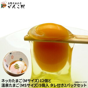 ネッカたまご(Mサイズ)12個と温泉たまご(MSサイズ)5個入タレ付き2パックセット