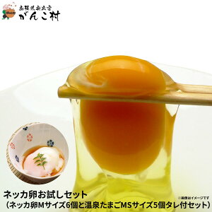 ネッカ卵お試しセット(ネッカ卵Mサイズ6個と温泉たまごMSサイズ5個タレ付セット)【RCP】05P06Aug16