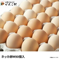 卵「安心・安全・おいしい」ネッカ卵90個入（Mサイズ）【イラスト入り白箱】卵かけご飯に！国産/生卵【送…