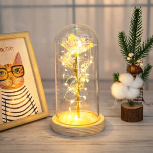 KXh[ t[ ͂Ȃ  o t[Cg o^C zCgf[ LO v[g