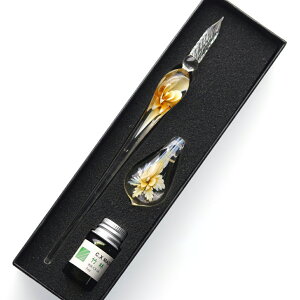 KXy Zbg  CNt yu fBbvy CNZbg A[g Ɏqy ML  莆 JOtB[ NA  v[g Mtg NX}X