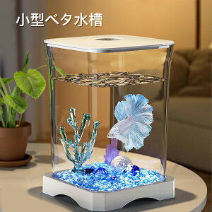 ^x^ ^ Mы RpNgTCY S҂ɂ₳ x^//Mы p